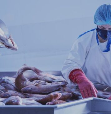 Άνοδος των εξαγωγών ψαριών ελληνικής ιχθυοκαλλιέργειας το 2025