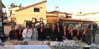 Με μεγάλη συμμετοχή πραγματοποιήθηκε το 1ο Φεστιβάλ Πορτοκαλιού Οινιαδών!