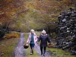 «Όταν έρθει το φθινόπωρο» στην κινηματογραφική λέσχη Αγρινίου