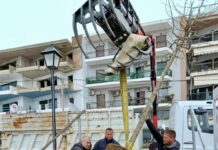 Σε εξέλιξη η δεύτερη φάση φυτεύσεων στο παραλιακό μέτωπο της Ναυπάκτου