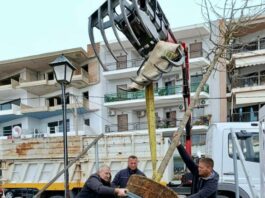 Σε εξέλιξη η δεύτερη φάση φυτεύσεων στο παραλιακό μέτωπο της Ναυπάκτου