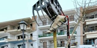 Σε εξέλιξη η δεύτερη φάση φυτεύσεων στο παραλιακό μέτωπο της Ναυπάκτου