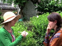 «Η Ταξιδιώτισσα» στην κινηματογραφική λέσχη Αγρινίου