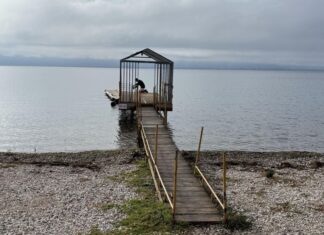 Απάντα με άλλα έγγραφα ο Πιστιόλας: Ψευδή τα περί «παράνομης εξέδρας»