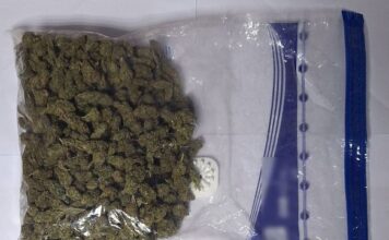 Ναύπακτος: Δύο συλλήψεις για διακίνηση ναρκωτικών – Βρέθηκαν στην κατοχή τους 750 γραμμάρια κάνναβης