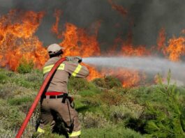 Στο 75% οι εμπρησμοί στη Δυτική Ελλάδα – Με Ανακριτικά Κλιμάκια η αντιπυρική περίοδος