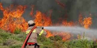 Το Υπουργείο «επιβεβαιώνει» τη μείωση του προσωπικού της Πυροσβεστικής στην Αιτωλοακαρνανία