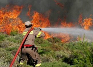 Στο 75% οι εμπρησμοί στη Δυτική Ελλάδα – Με Ανακριτικά Κλιμάκια η αντιπυρική περίοδος