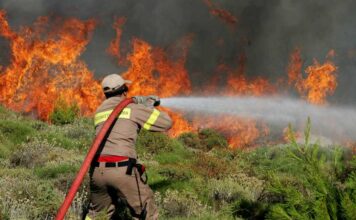 Στο 75% οι εμπρησμοί στη Δυτική Ελλάδα – Με Ανακριτικά Κλιμάκια η αντιπυρική περίοδος