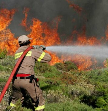 Στο 75% οι εμπρησμοί στη Δυτική Ελλάδα – Με Ανακριτικά Κλιμάκια η αντιπυρική περίοδος