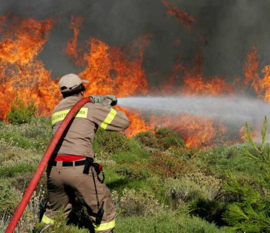Στο 75% οι εμπρησμοί στη Δυτική Ελλάδα – Με Ανακριτικά Κλιμάκια η αντιπυρική περίοδος