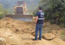Με τις πλάτες… Περιφέρειας και Δήμων τα δασαρχεία