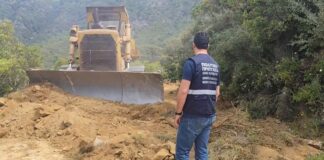 Με τις πλάτες… Περιφέρειας και Δήμων τα δασαρχεία