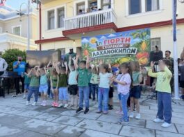 Όταν η εκπαίδευση ανθίζει: Η επιτυχημένη γιορτή των σχολικών λαχανόκηπων στο Μεσολόγγι