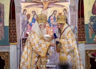 Ανώτατη τιμητική διάκριση στο Μητροπολίτη Δαμασκηνό από την Ι. Μητρόπολη Δημητριάδος