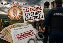 ΟΠΕΚΕΠΕ: Ο ρόλος του διαχειριστή ΚΥΔ στο Αγρίνιο στο κύκλωμα των παράνομων επιδοτήσεων