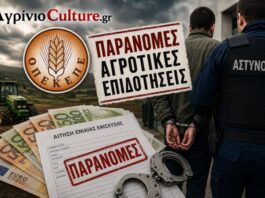 ΟΠΕΚΕΠΕ: Βαρύτατη η ποινική δίωξη στους 14 συλληφθέντες σε Κοζάνη και Αγρίνιο