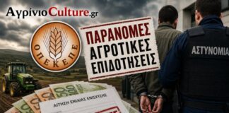 ΟΠΕΚΕΠΕ: Βαρύτατη η ποινική δίωξη στους 14 συλληφθέντες σε Κοζάνη και Αγρίνιο