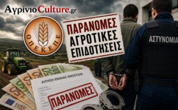 ΟΠΕΚΕΠΕ: Ο ρόλος του διαχειριστή ΚΥΔ στο Αγρίνιο στο κύκλωμα των παράνομων επιδοτήσεων