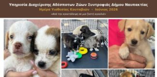 Με επιτυχία η Ημέρα Υιοθεσίας αδέσποτων κουταβιών στη Ναύπακτο