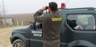 Συλλήψεις για λαθροθηρία σε Ναυπακτία και Γαβαλού