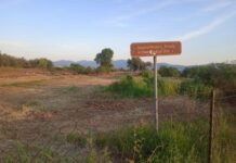 Το αρχαίο Αγρίνιο ως σημαντική πολιτιστική επιλογή