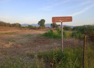 Το αρχαίο Αγρίνιο ως σημαντική πολιτιστική επιλογή