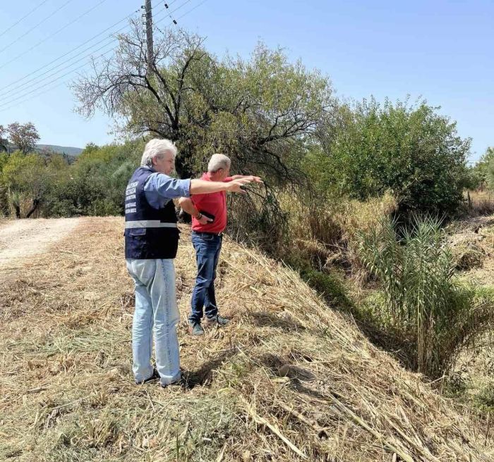 remata