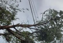 Το μπουρίνι τα «έσπασε» και ο ΔΕΔΔΗΕ άργησε στον Άγιο Ιωάννη Ρηγανά