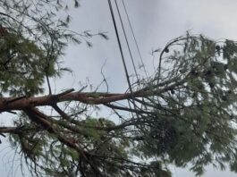 Το μπουρίνι τα «έσπασε» και ο ΔΕΔΔΗΕ άργησε στον Άγιο Ιωάννη Ρηγανά
