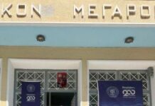 Μεσολόγγι: Μηνυτήρια αναφορά από τον Κ. Λύρο για την κοπή των δέντρων στο «Δασάκι»