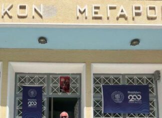 Μεσολόγγι: Μηνυτήρια αναφορά από τον Κ. Λύρο για την κοπή των δέντρων στο «Δασάκι»