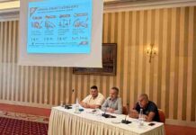 Επιτραπέζια ελιά: «Καμπανάκι» της ΠΕΜΕΤΕ για την ανταγωνιστικότητα των εξαγωγών