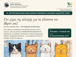 Συνεχίζεται η οργανωμένη φροντίδα για τις αδέσποτες γάτες στο Δήμο Ναυπακτίας