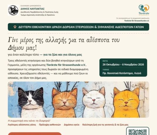 Συνεχίζεται η οργανωμένη φροντίδα για τις αδέσποτες γάτες στο Δήμο Ναυπακτίας