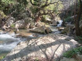 Υδροηλεκτρικό στο Μοκιστιάνο: «Πατά» πάνω στην υδροληψία για το αρδευτικό της Μυρτιάς