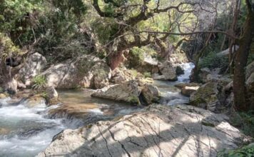«Όχι» το Δασαρχείο για το υδροηλεκτρικό στο Μοκιστιάνο