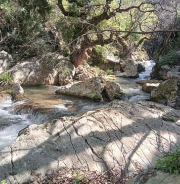 «Όχι» το Δασαρχείο για το υδροηλεκτρικό στο Μοκιστιάνο
