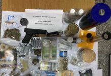 Nαύπακτος: Ναρκωτικά και όπλα ξετρύπωσε ο αστυνομικός σκύλος «Sporty»